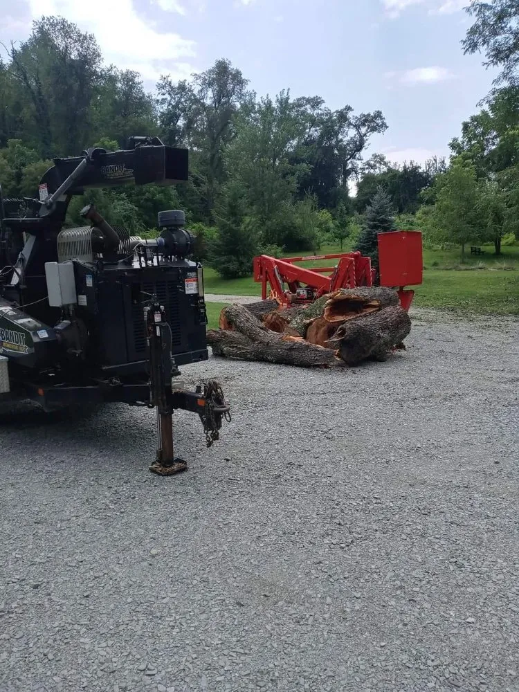 Local garden landscaping for beautiful yards in Clearwater, FL by N.J.V Tree Service