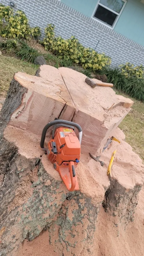 Top-rated garden landscaping for beautiful yards across Clearwater, FL - N.J.V Tree Service