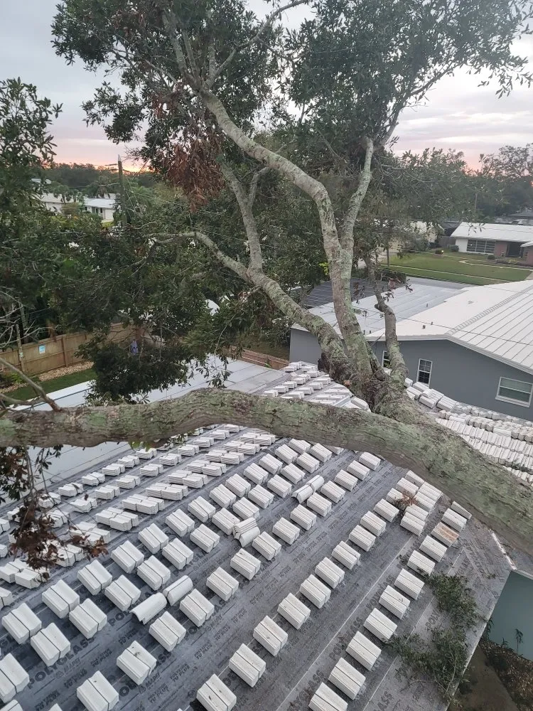 Local yard maintenance in Clearwater, FL by N.J.V Tree Service