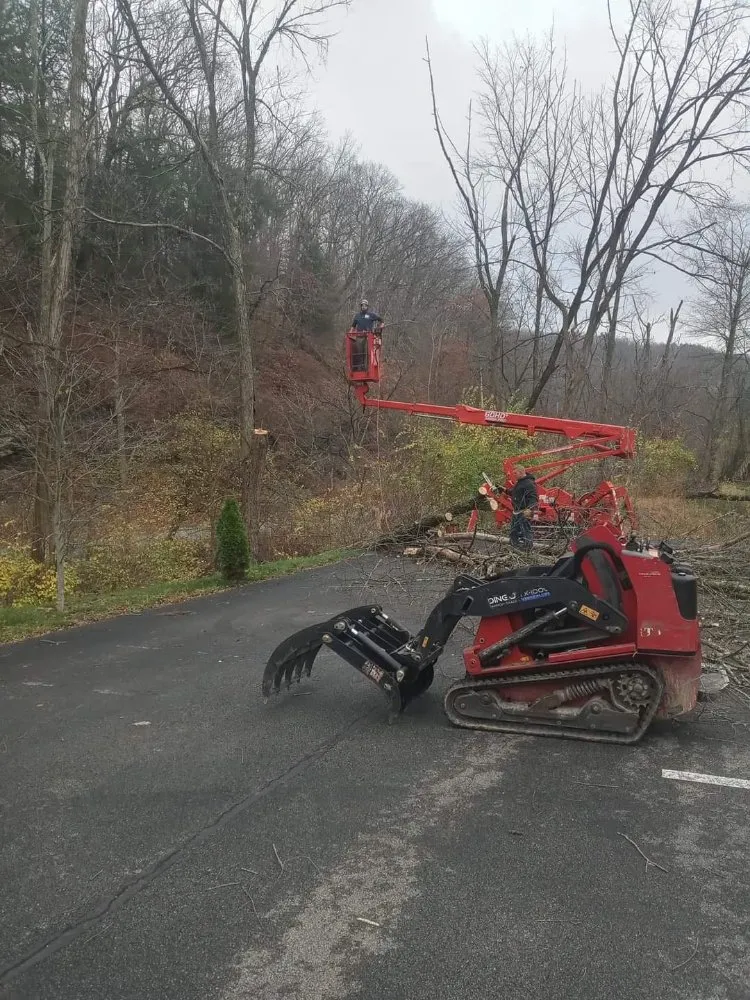 Top-rated lawn mowing service for outdoor upgrades across Clearwater, FL - N.J.V Tree Service