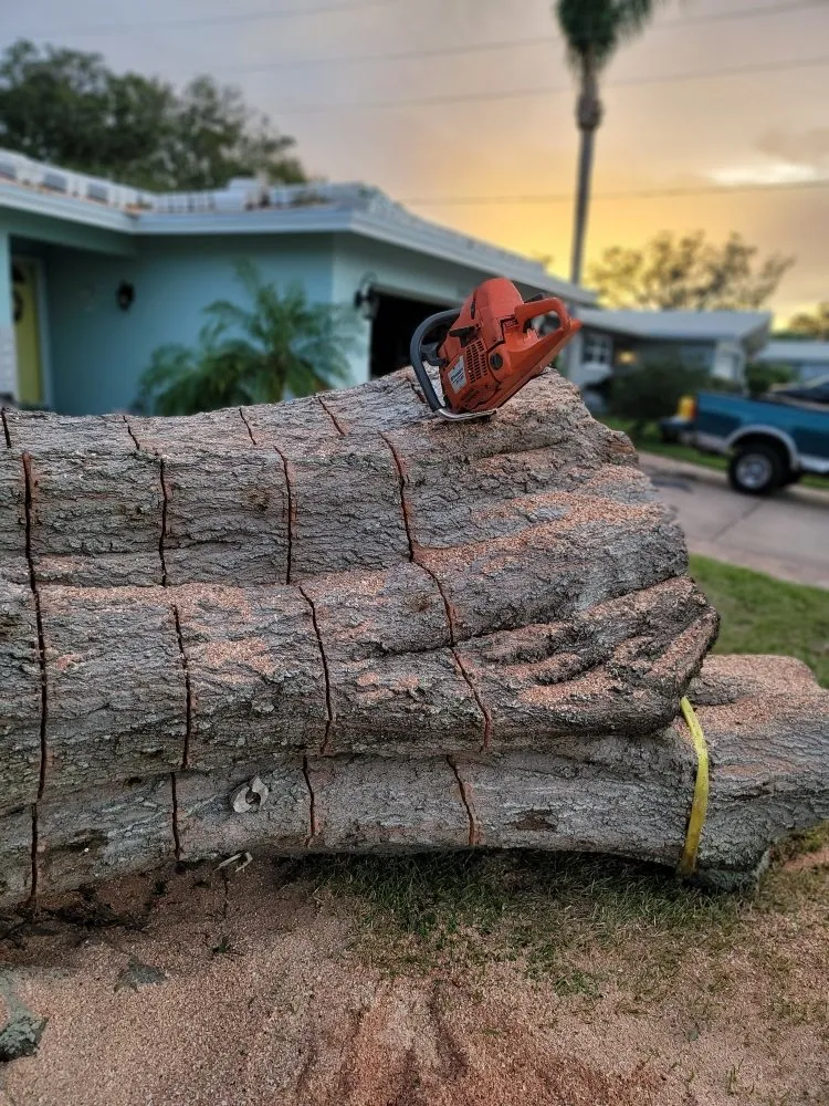 Reliable lawn mowing service for homes in Clearwater, FL by N.J.V Tree Service