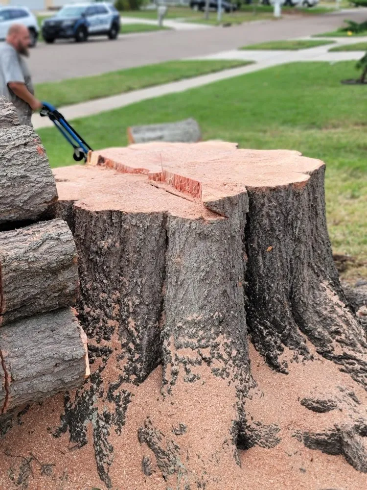 Custom outdoor landscaping for homes in Clearwater, FL by N.J.V Tree Service