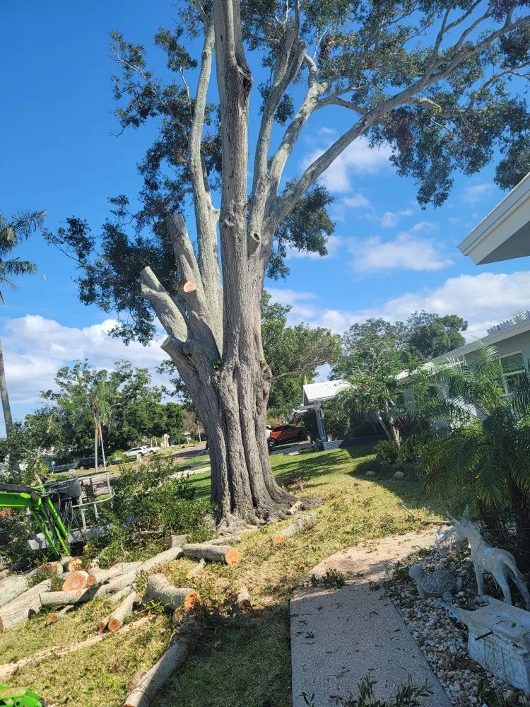 Affordable garden landscaping experts serving Clearwater, FL - N.J.V Tree Service