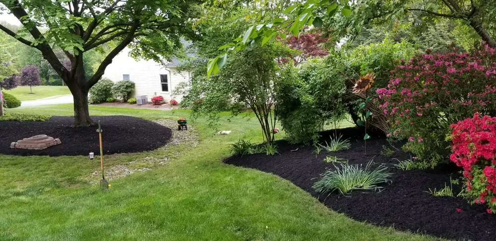 Affordable landscape installation in Lutherville-Timonium, MD - NK Garden Art Landscaping