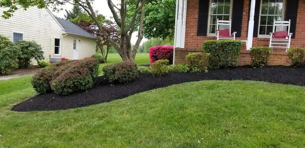 Custom yard cleanup service for year-round maintenance across Lutherville-Timonium, MD - NK Garden Art Landscaping