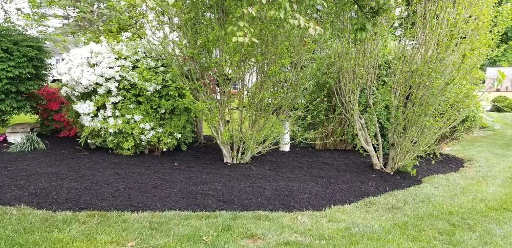 Affordable lawn care service in Lutherville-Timonium, MD - NK Garden Art Landscaping