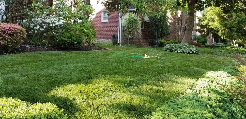 Trusted garden landscaping experts serving Lutherville-Timonium, MD - NK Garden Art Landscaping