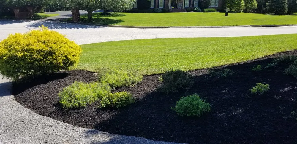 Top-rated outdoor landscaping near you in Lutherville-Timonium, MD by NK Garden Art Landscaping