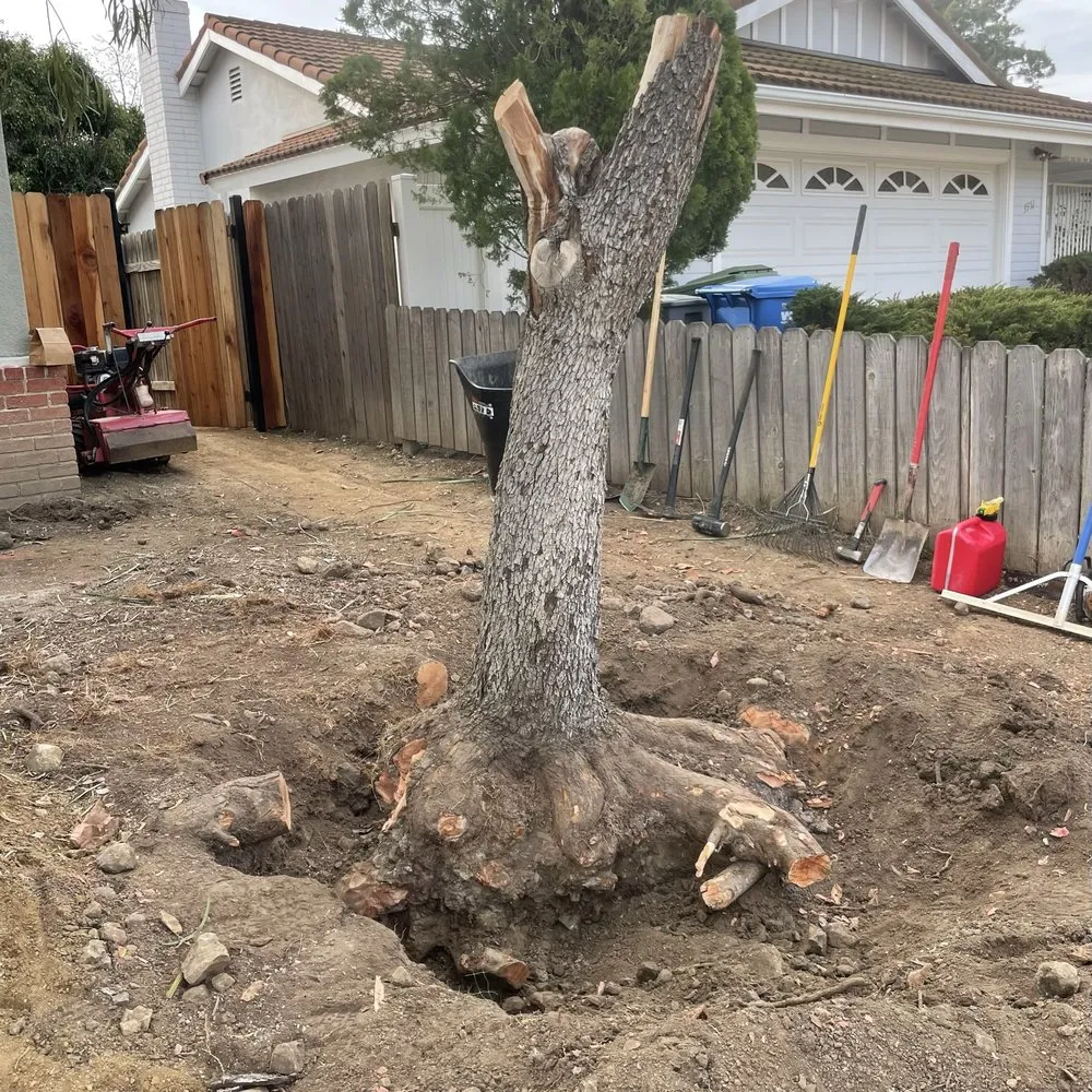 Reliable landscape design in Chatsworth, CA by NK Gardening