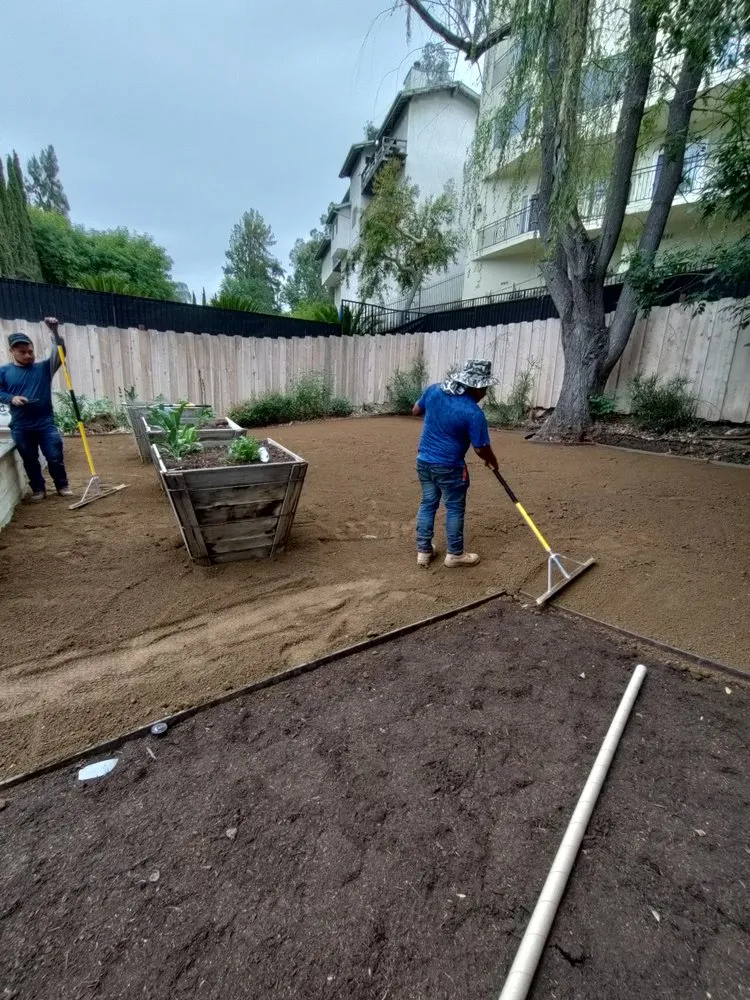 Reliable lawn care service experts serving Chatsworth, CA - NK Gardening