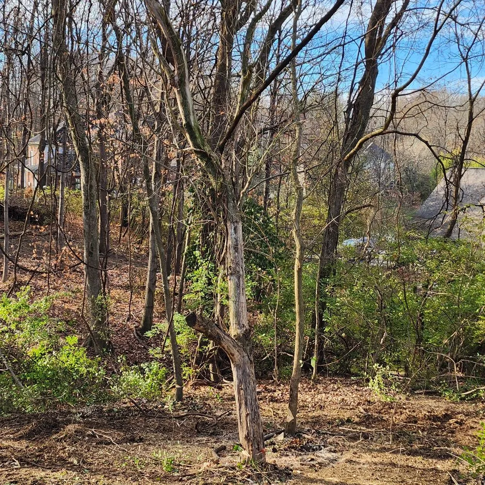 Custom garden landscaping in Alexandria, KY - NKY Land Specialist