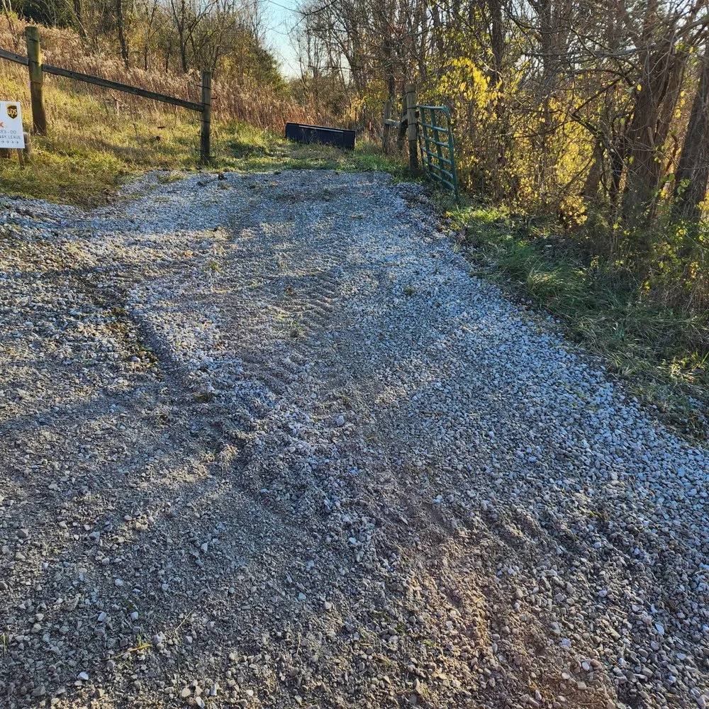 Affordable yard cleanup service in Alexandria, KY by NKY Land Specialist