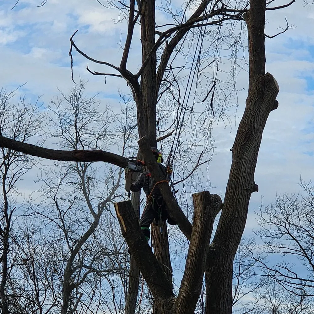 Professional lawn mowing service experts serving Alexandria, KY - NKY Land Specialist