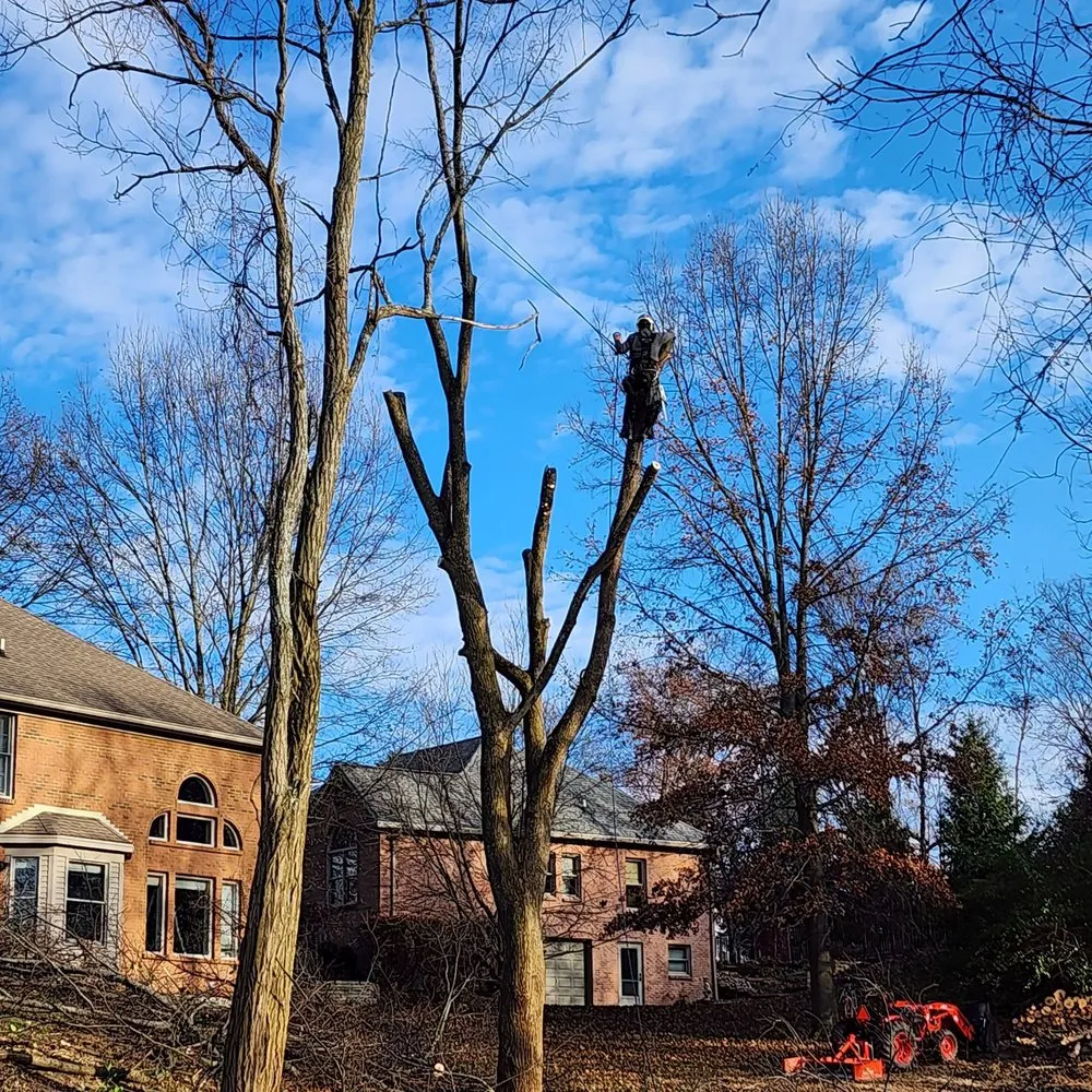 Trusted residential landscaping in Alexandria, KY by NKY Land Specialist