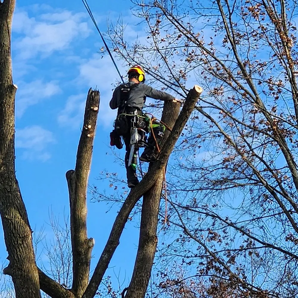 Expert garden landscaping for residential properties in Alexandria, KY by NKY Land Specialist