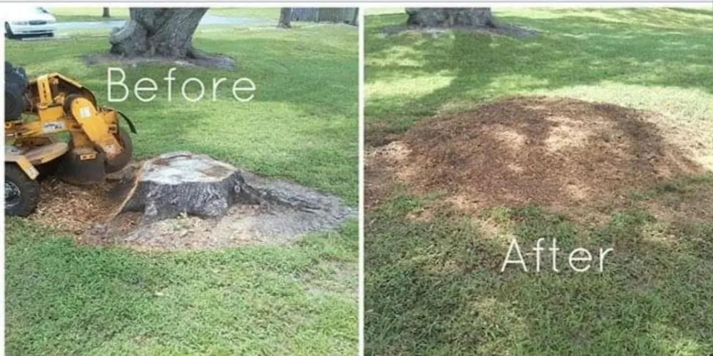 Top-rated landscape design in Burlington, KY by NKY Property Solutions