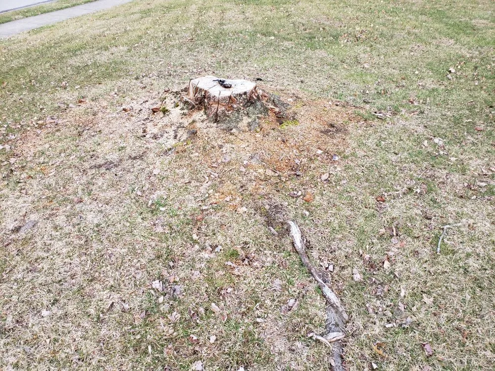 Top-rated residential landscaping with custom design in Burlington, KY by NKY Property Solutions