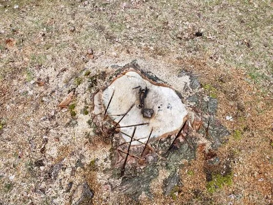 NKY Property Solutions Logo