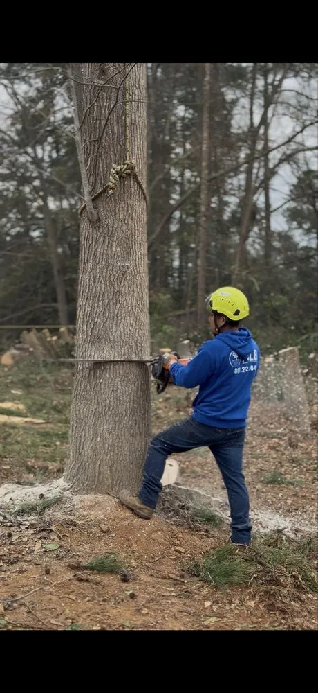 Reliable garden landscaping experts serving Warrenville, SC - NLB Tree Service and Gardening
