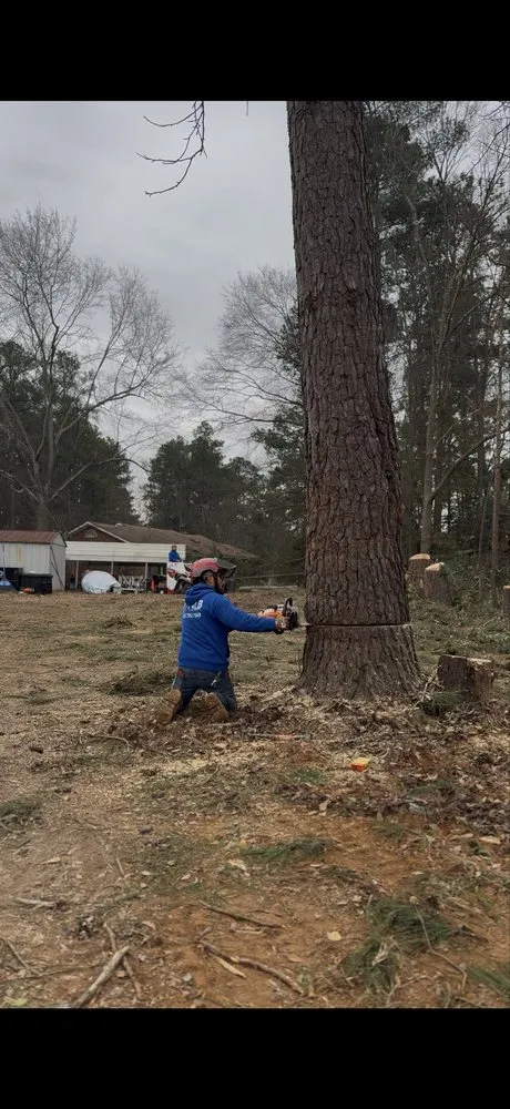 Local landscaping services for beautiful yards across Warrenville, SC - NLB Tree Service and Gardening