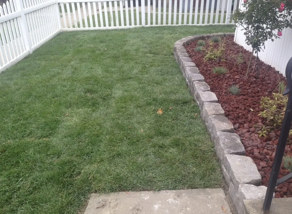 Custom yard maintenance experts serving Carnegie, PA - NLC Landscaping