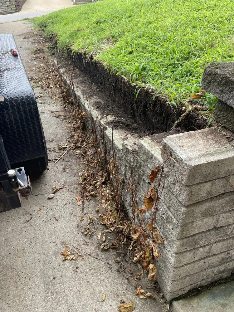 Professional yard cleanup service in Carnegie, PA - NLC Landscaping