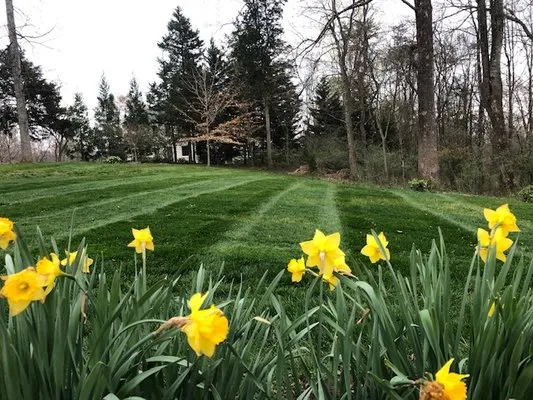 NLL Lawn & Landscaping Logo