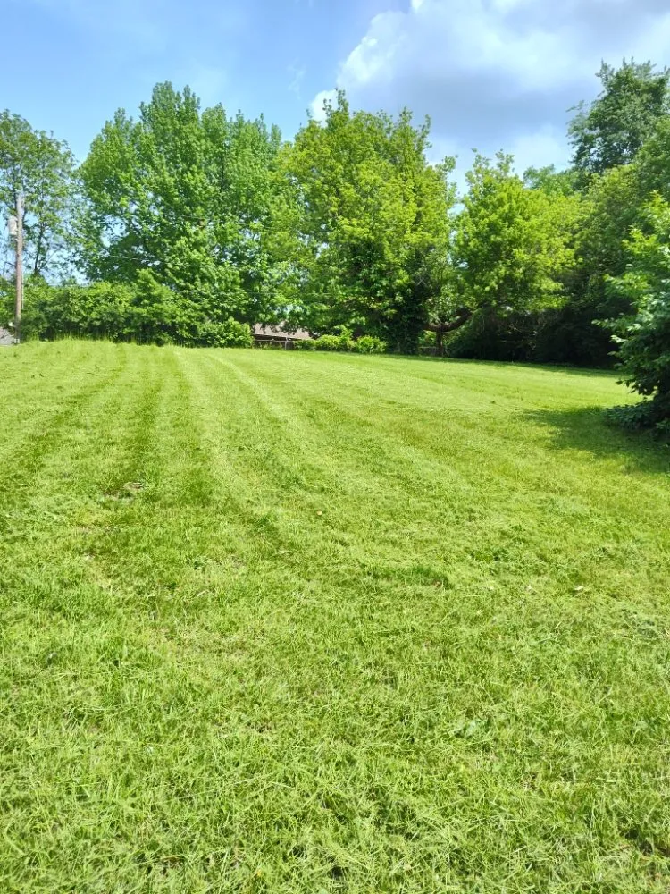 Local lawn care service for year-round maintenance in Kansas City, MO by NLLP Lawn Care