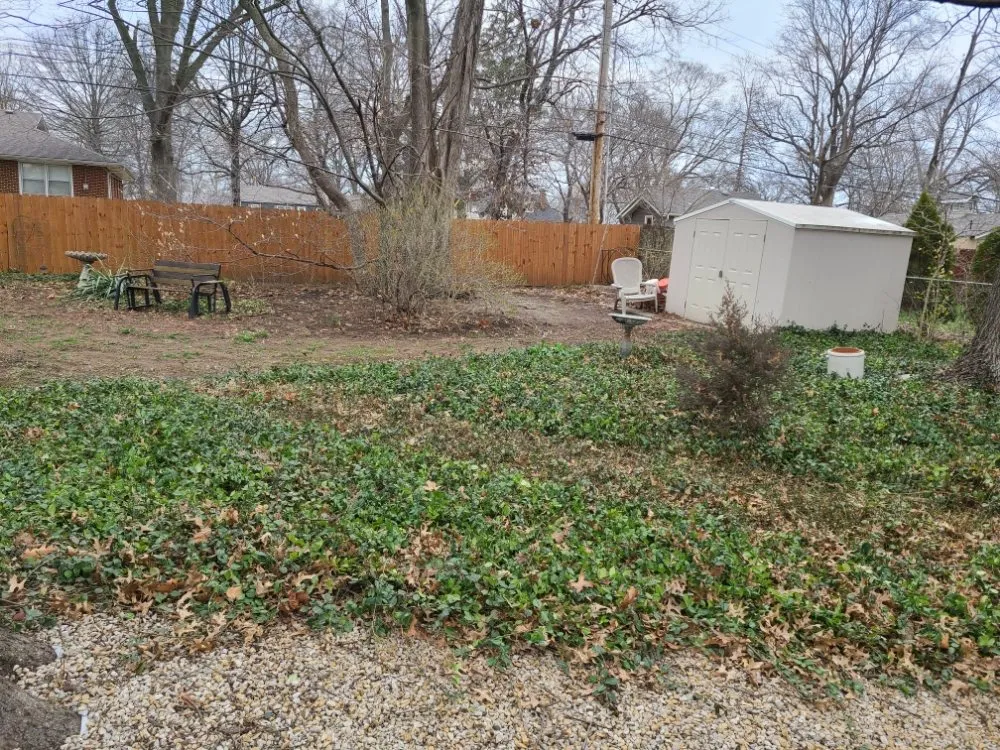 Custom yard cleanup service in Kansas City, MO by NLLP Lawn Care