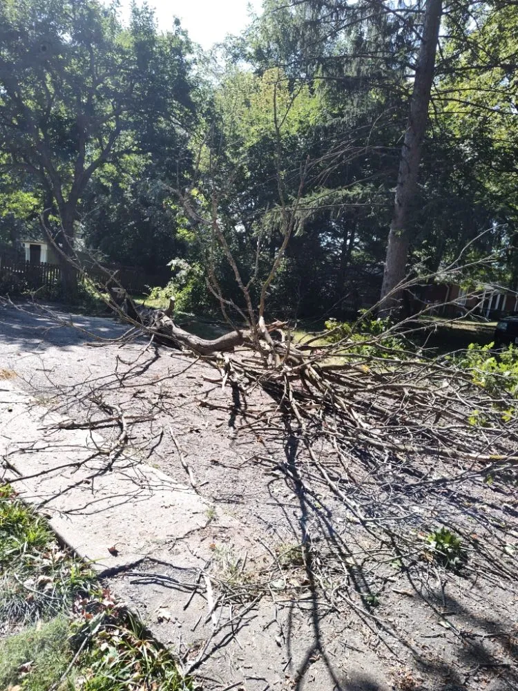 Professional residential landscaping in Kansas City, MO - NLLP Lawn Care