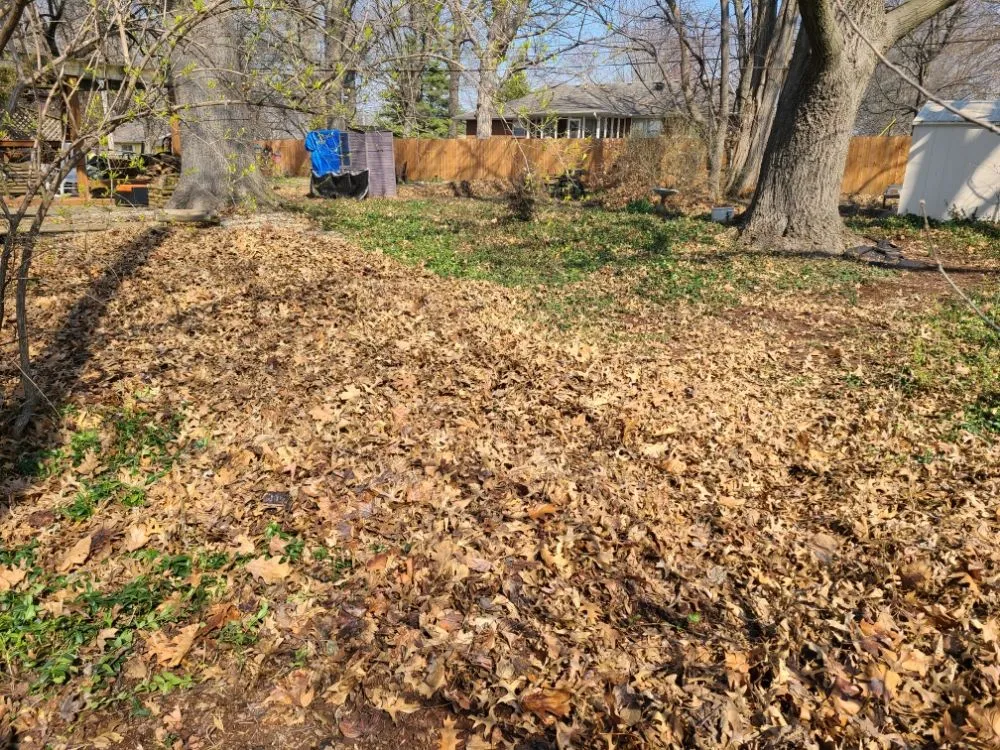 Top-rated lawn care service experts serving Kansas City, MO - NLLP Lawn Care