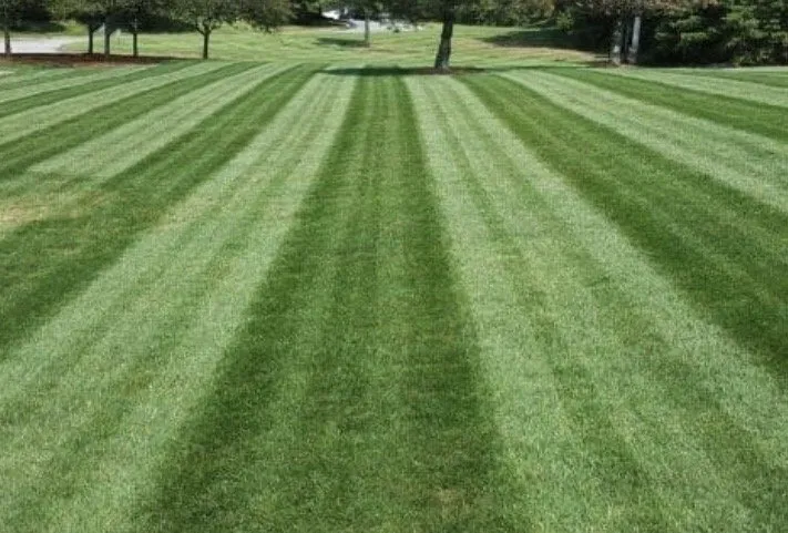 Reliable landscaping services experts serving Brookfield, WI - NLP Lawn Services