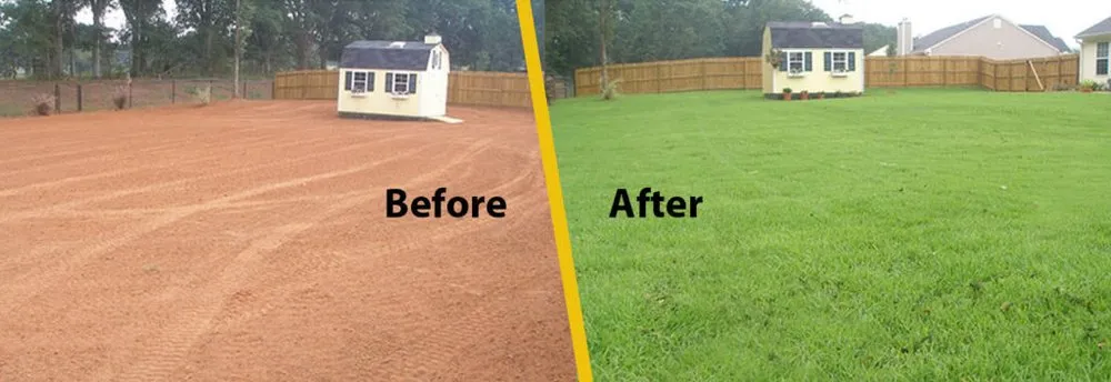 Trusted landscaping services in Ankeny, IA by NLS Elite