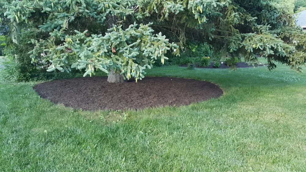 Trusted landscape design experts serving Wallingford, CT - Nm Contractor