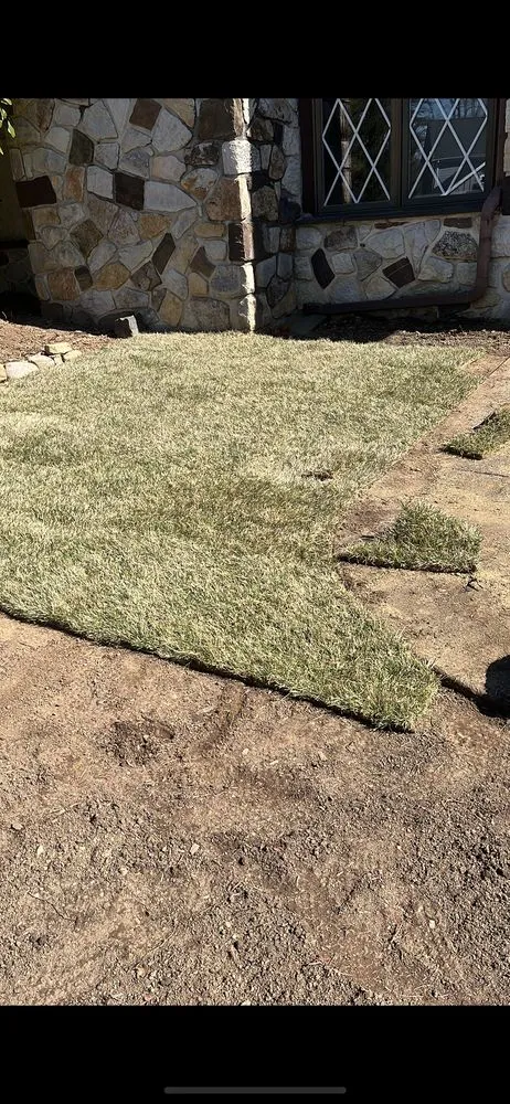 Local yard cleanup service for beautiful yards across Ardmore, PA - N&M Landscaping