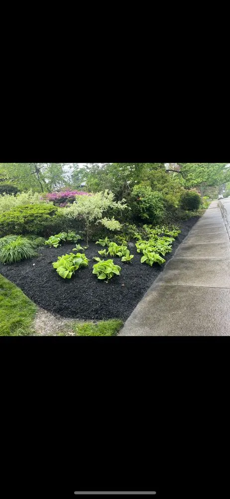 Professional outdoor landscaping for residential properties in Ardmore, PA by N&M Landscaping