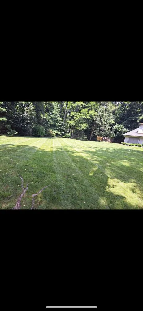 Custom yard maintenance with custom design in Ardmore, PA by N&M Landscaping