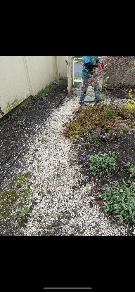 Top-rated landscaping services in Ardmore, PA - N&M Landscaping