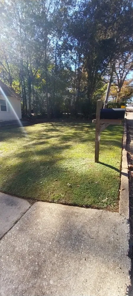 Local landscape installation in Atlanta, GA by NM Lawn Care