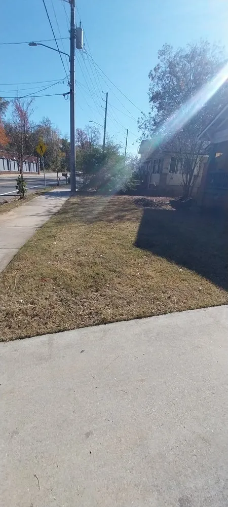 Local yard cleanup service in Atlanta, GA by NM Lawn Care