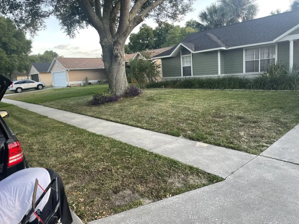 Top-rated yard cleanup service in Ocoee, FL - N&M Lawn Care Service