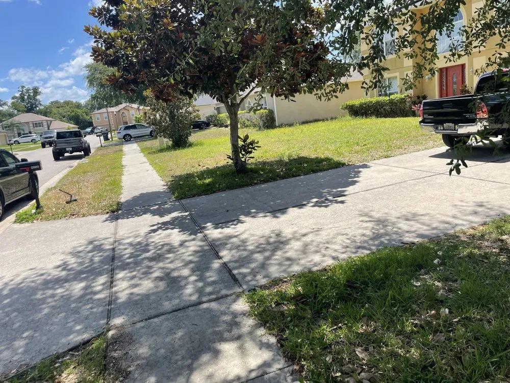 Local landscape design with custom design across Ocoee, FL - N&M Lawn Care Service