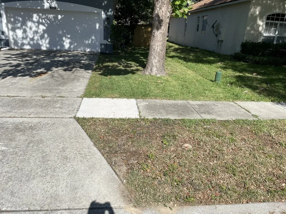 Reliable landscape design with custom design across Ocoee, FL - N&M Lawn Care Service