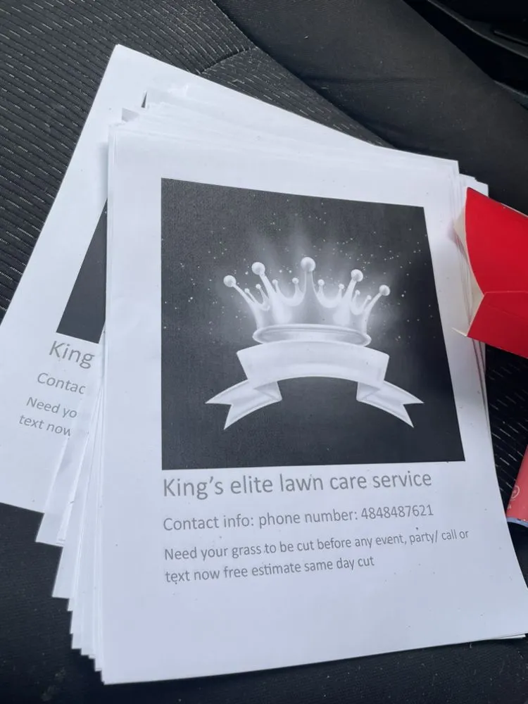 Affordable landscape installation for year-round maintenance across Ocoee, FL - N&M Lawn Care Service