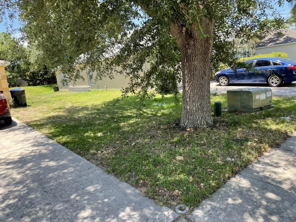 Custom lawn care service in Ocoee, FL - N&M Lawn Care Service