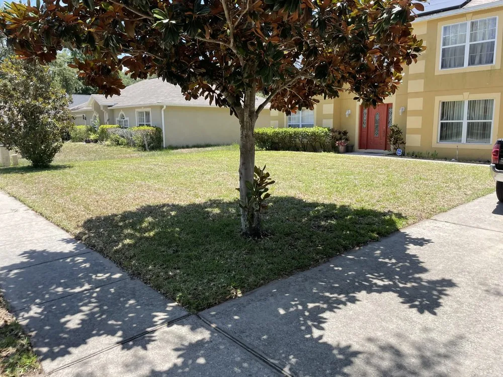 Affordable residential landscaping for outdoor upgrades in Ocoee, FL by N&M Lawn Care Service