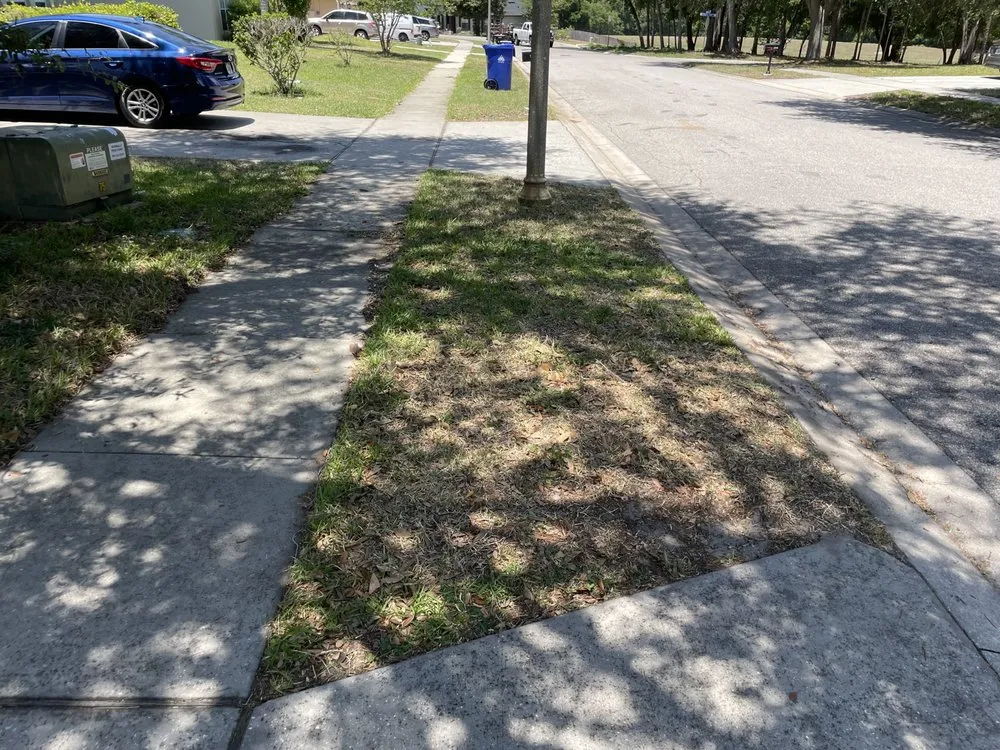 Trusted outdoor landscaping in Ocoee, FL - N&M Lawn Care Service