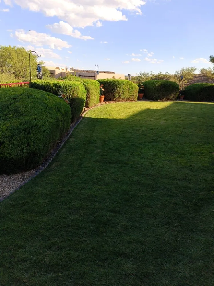 Trusted lawn mowing service for year-round maintenance across Las Cruces, NM - NM Property Maintenance & Clean