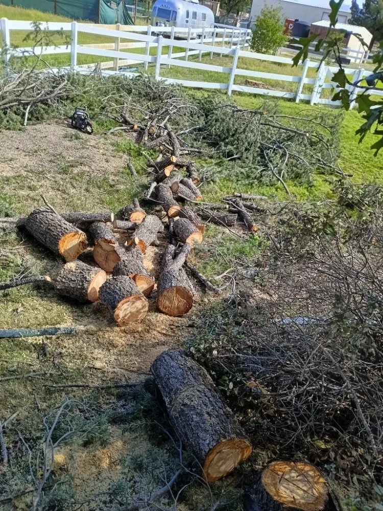 Reliable lawn mowing service for year-round maintenance across Las Cruces, NM - NM Property Maintenance & Clean