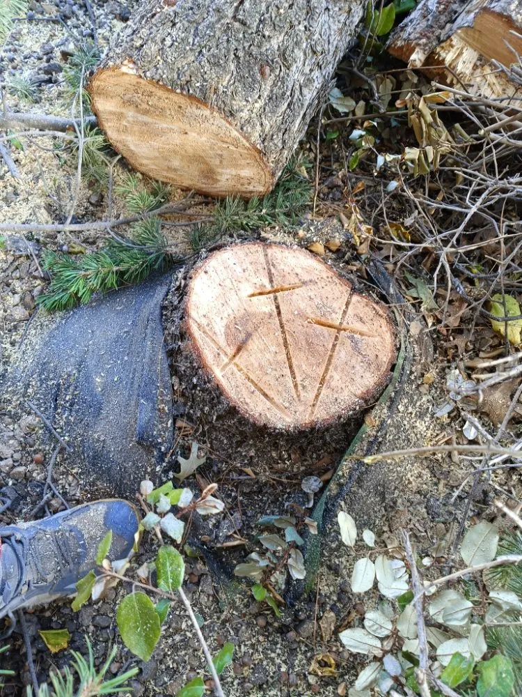 Expert landscaping services for outdoor upgrades in Las Cruces, NM by NM Property Maintenance & Clean